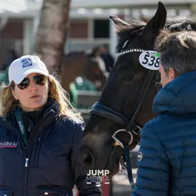 Palm Beach Equine Clinic Official Veterinarian Global Dressage Festival - Horse Show Services