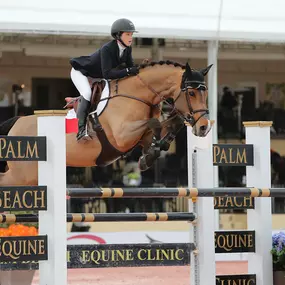 Palm Beach Equine Clinic Official Veterinarian Winter Equestrian Festival at Palm Beach International Equestrian Festival