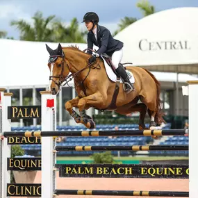 Palm Beach Equine Clinic Official Veterinarian Winter Equestrian Festival at Palm Beach International Equestrian Festival