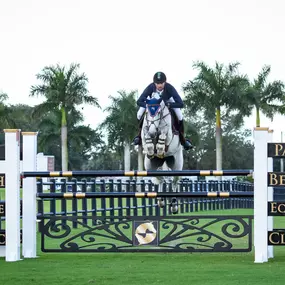 Palm Beach Equine Clinic Official Veterinarian Winter Equestrian Festival at Palm Beach International Equestrian Festival