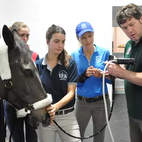 Palm Beach Equine Clinic Dr. Peter Heidmann gastroscope