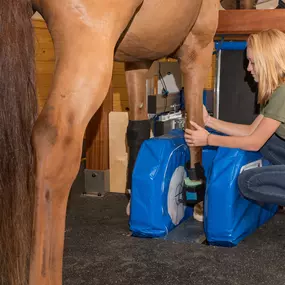 Bild von Palm Beach Equine Clinic