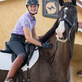 Palm Beach Equine Clinic Horse Hospital in Wellington, Florida