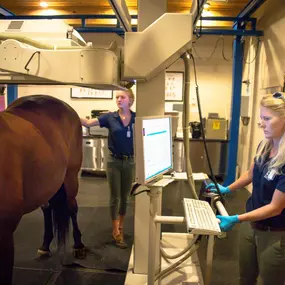 Bild von Palm Beach Equine Clinic