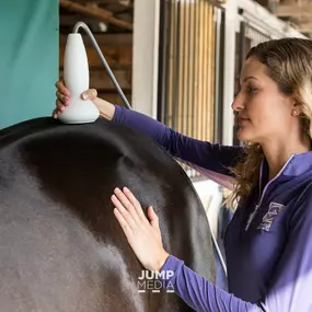 Palm Beach Equine Clinic Horse Hospital in Wellington, Florida