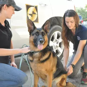 Bild von Palm Beach Equine Clinic