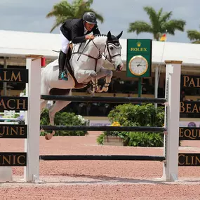 Palm Beach Equine Clinic Official Veterinarian Winter Equestrian Festival at Palm Beach International Equestrian Festival