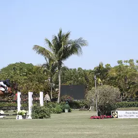 Palm Beach Equine Clinic Official Veterinarian Winter Equestrian Festival at Palm Beach International Equestrian Festival