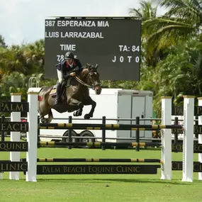 Palm Beach Equine Clinic Official Veterinarian Winter Equestrian Festival at Palm Beach International Equestrian Festival