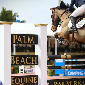 Palm Beach Equine Clinic Official Veterinarian Winter Equestrian Festival at Palm Beach International Equestrian Festival