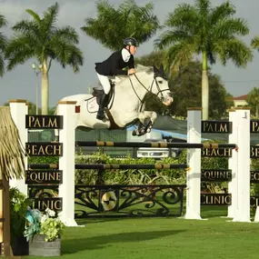 Palm Beach Equine Clinic Official Veterinarian Winter Equestrian Festival at Palm Beach International Equestrian Festival