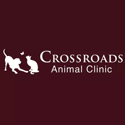 Logo from Crossroads Animal Clinic