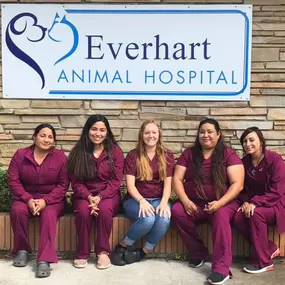 Bild von Everhart Animal Hospital