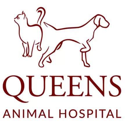 Logo da Queens Animal Hospital