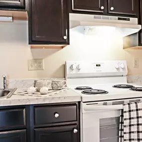 Shaker Run Apartment Kitchen