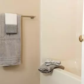 Shaker Run Apartment Bathroom