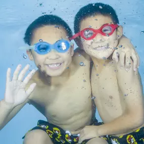 Bild von Swimming Safari