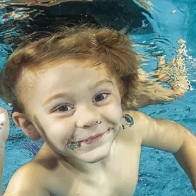 Bild von Swimming Safari
