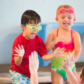 Bild von Swimming Safari