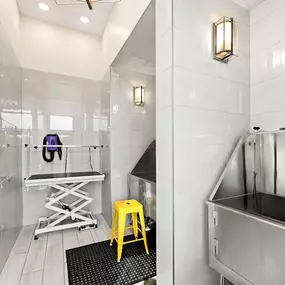 Dog Washing station