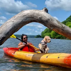 Bild von Kayak Starved Rock