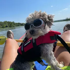 Bild von Kayak Starved Rock