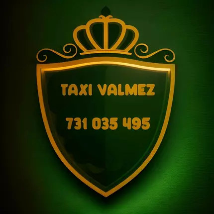 Logo de Taxi Valmez