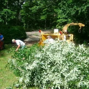 Bild von Berryman Tree Services Huntsville