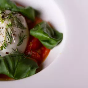 Burrata