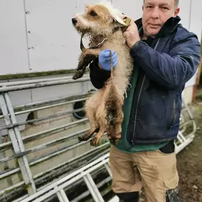 Bild von Terrier Pest Control Ltd