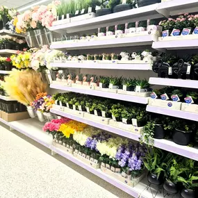 Bild von B&M Store