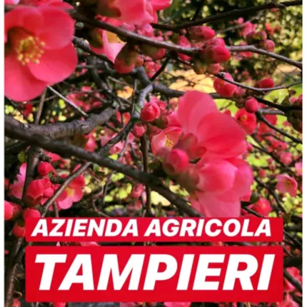 Logo van Tampieri Vivai - Garden