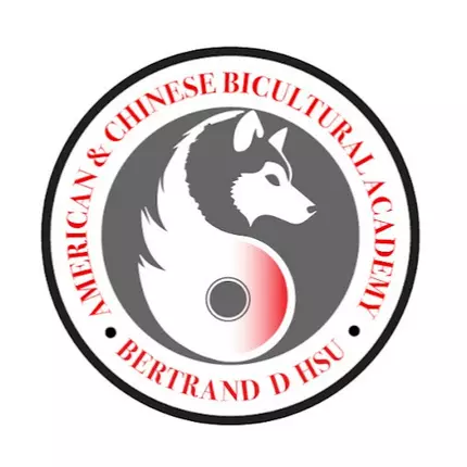 Logo from Bert Hsu Academy