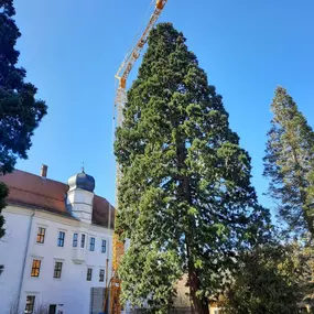 Bild von Gerüstbau und Kranverleih Maier