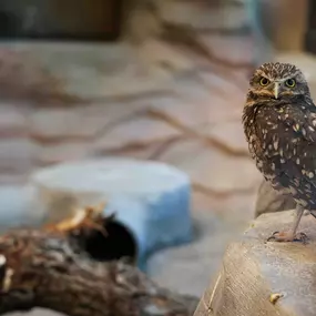 Bild von Utah's Hogle Zoo