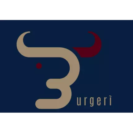 Logo from Burgeri Frattaminore