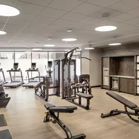 Health club  fitness center  gym