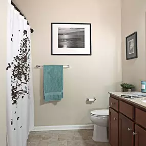 Stonegate apartment bathroom