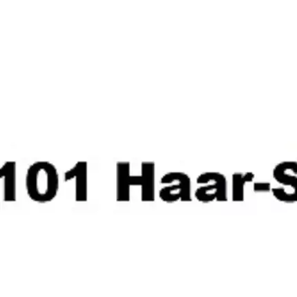 Logo von 101 Haar-System