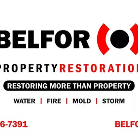 Belfor Logo