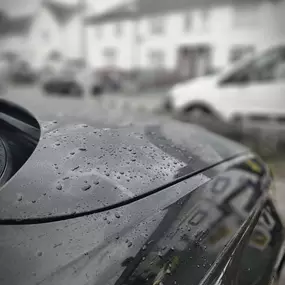 Bild von Last Detailers