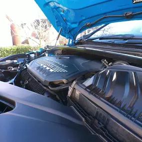 Bild von Last Detailers