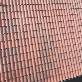 237031943-1-BhKPLKhuSg1744651893788.jpeg