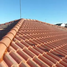237031943-1-BhKPLKhuSg1744652146670.jpeg