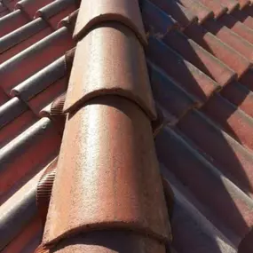237031943-1-BhKPLKhuSg1744652156264.jpeg