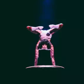 Expect the unexpected at Mavericks in Las Vegas! Where comedy, circus, and burlesque collide in Downtown Vegas!