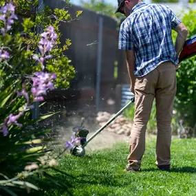 Bild von Ornellas Lawn and Yard maintenance