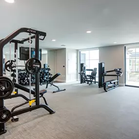 A well-equipped gym with a variety of machines and weights.