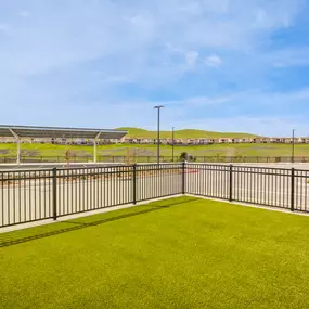 Dog Park