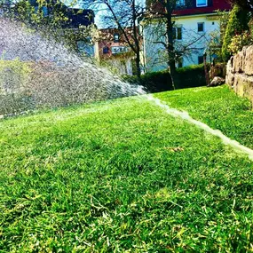 Bild von AR-Dienste Garten- und Landschaftsbau